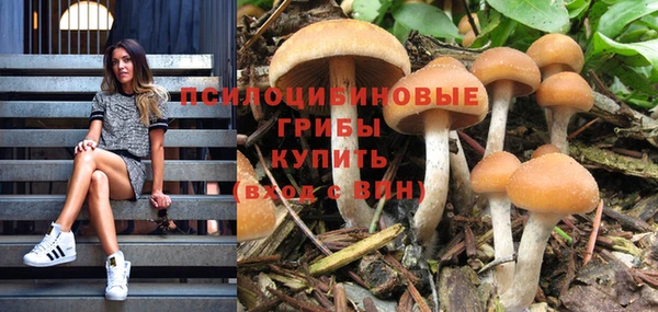 скорость Зерноград