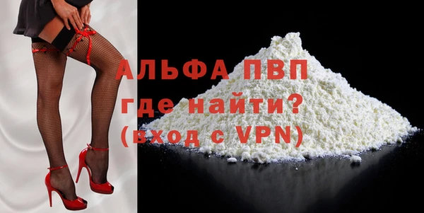 мяу мяу мука Иннополис