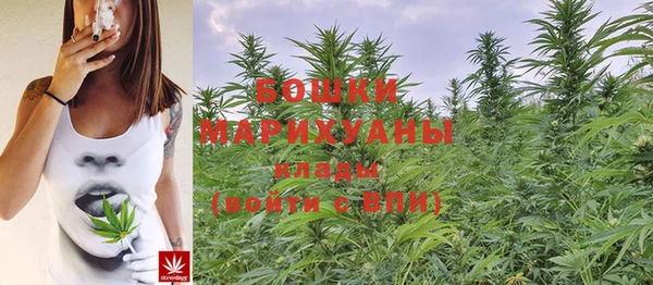 мяу мяу мука Иннополис