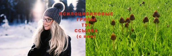 скорость Зеленодольск