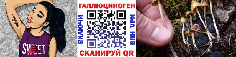 Купить где  Кизляр  Псилоцибиновые грибы мухоморы 